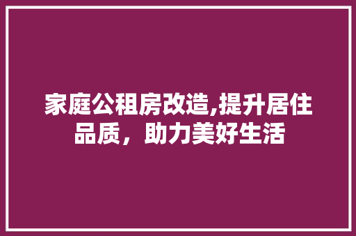 家庭公租房改造,提升居住品质，助力美好生活