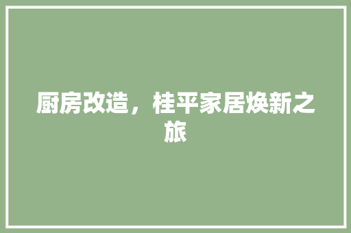 厨房改造，桂平家居焕新之旅