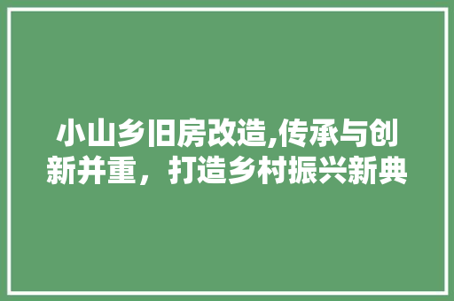 小山乡旧房改造,传承与创新并重，打造乡村振兴新典范