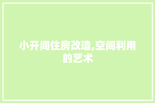 小开间住房改造,空间利用的艺术