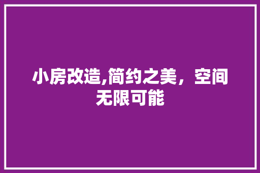 小房改造,简约之美，空间无限可能
