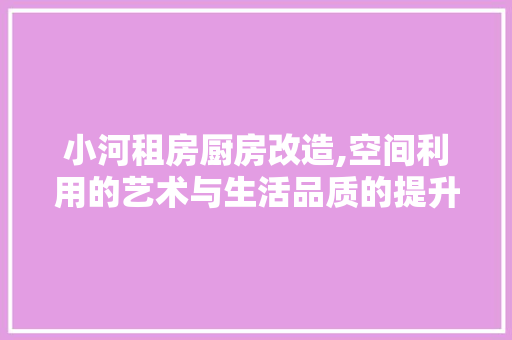 小河租房厨房改造,空间利用的艺术与生活品质的提升
