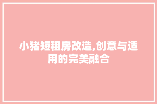 小猪短租房改造,创意与适用的完美融合