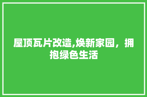 屋顶瓦片改造,焕新家园，拥抱绿色生活