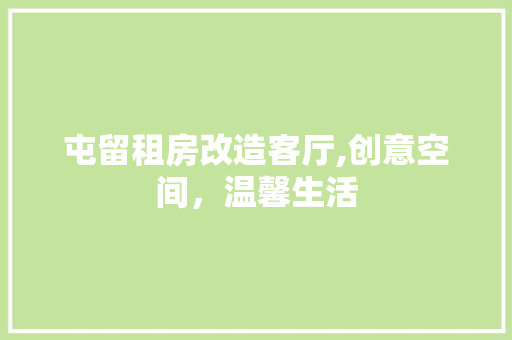 屯留租房改造客厅,创意空间，温馨生活