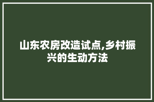 山东农房改造试点,乡村振兴的生动方法