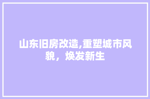 山东旧房改造,重塑城市风貌，焕发新生