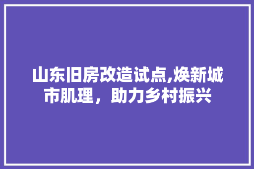 山东旧房改造试点,焕新城市肌理，助力乡村振兴