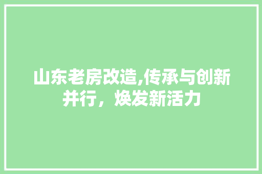 山东老房改造,传承与创新并行，焕发新活力