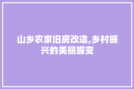 山乡农家旧房改造,乡村振兴的美丽蝶变
