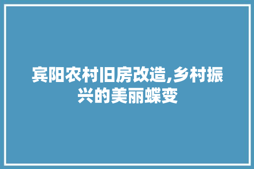 宾阳农村旧房改造,乡村振兴的美丽蝶变
