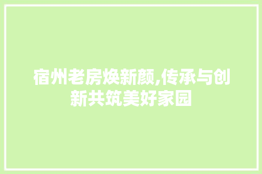 宿州老房焕新颜,传承与创新共筑美好家园