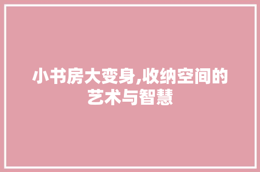 小书房大变身,收纳空间的艺术与智慧