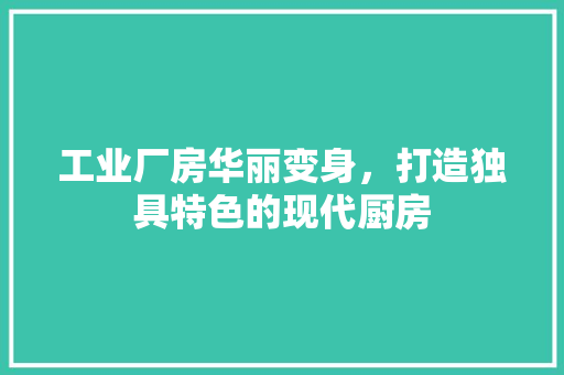 工业厂房华丽变身，打造独具特色的现代厨房