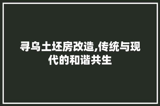 寻乌土坯房改造,传统与现代的和谐共生