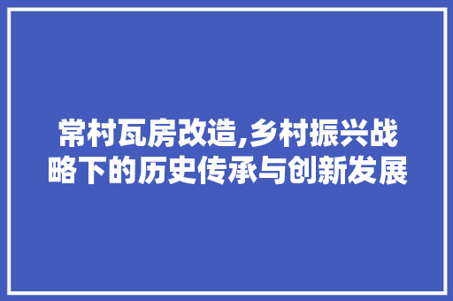 常村瓦房改造,乡村振兴战略下的历史传承与创新发展