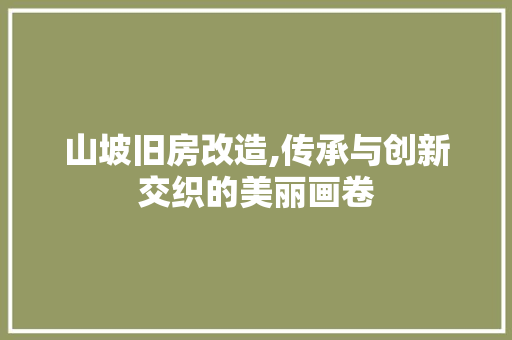 山坡旧房改造,传承与创新交织的美丽画卷