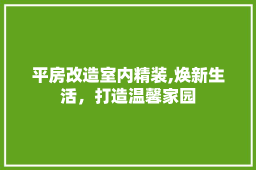 平房改造室内精装,焕新生活，打造温馨家园