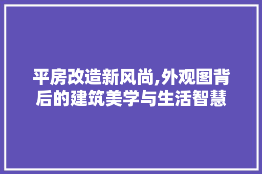 平房改造新风尚,外观图背后的建筑美学与生活智慧