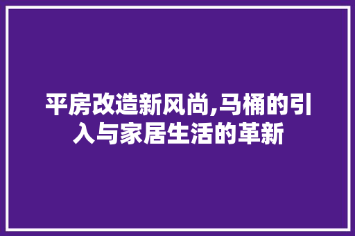 平房改造新风尚,马桶的引入与家居生活的革新