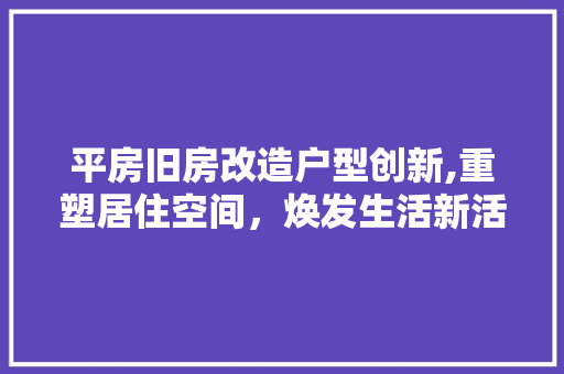 平房旧房改造户型创新,重塑居住空间，焕发生活新活力