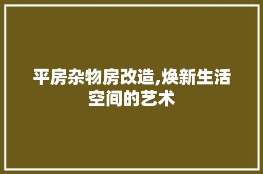 平房杂物房改造,焕新生活空间的艺术