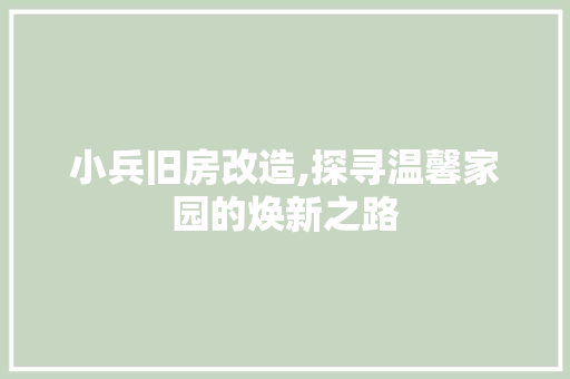 小兵旧房改造,探寻温馨家园的焕新之路