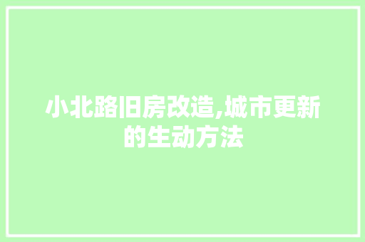小北路旧房改造,城市更新的生动方法