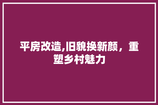 平房改造,旧貌换新颜，重塑乡村魅力
