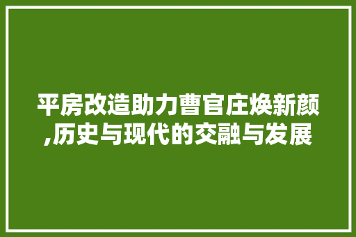 平房改造助力曹官庄焕新颜,历史与现代的交融与发展