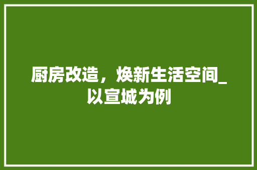厨房改造，焕新生活空间_以宣城为例