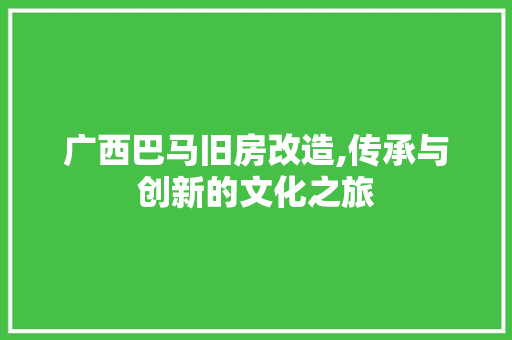 广西巴马旧房改造,传承与创新的文化之旅