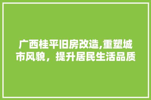 广西桂平旧房改造,重塑城市风貌，提升居民生活品质