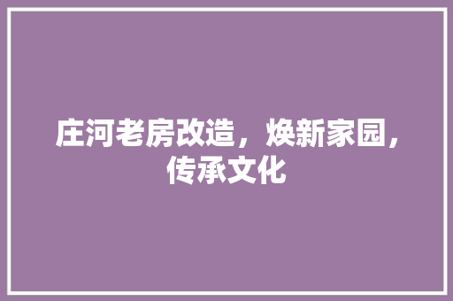 庄河老房改造，焕新家园，传承文化