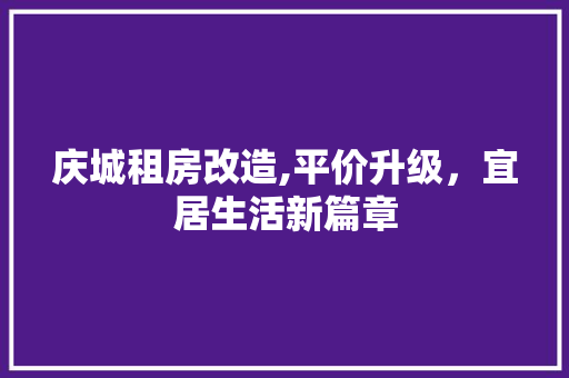 庆城租房改造,平价升级，宜居生活新篇章