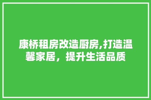 康桥租房改造厨房,打造温馨家居，提升生活品质