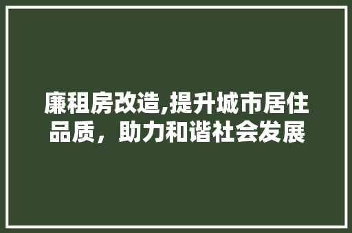 廉租房改造,提升城市居住品质，助力和谐社会发展