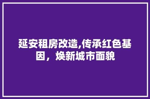 延安租房改造,传承红色基因，焕新城市面貌