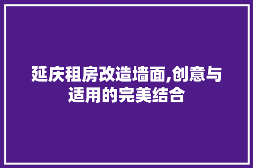 延庆租房改造墙面,创意与适用的完美结合