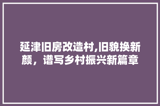 延津旧房改造村,旧貌换新颜，谱写乡村振兴新篇章