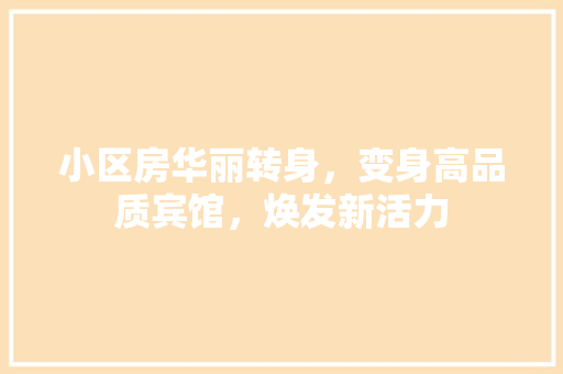 小区房华丽转身，变身高品质宾馆，焕发新活力