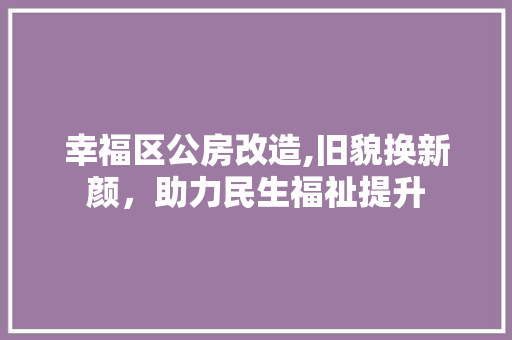 幸福区公房改造,旧貌换新颜，助力民生福祉提升