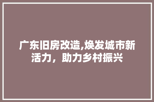 广东旧房改造,焕发城市新活力，助力乡村振兴