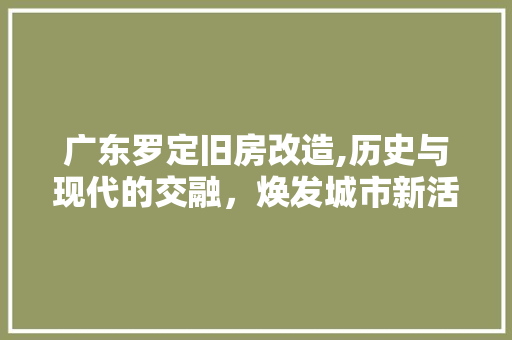 广东罗定旧房改造,历史与现代的交融，焕发城市新活力