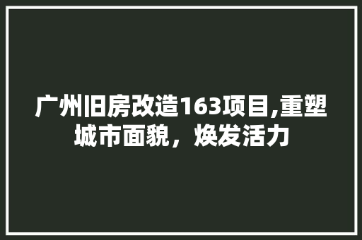 广州旧房改造163项目,重塑城市面貌，焕发活力