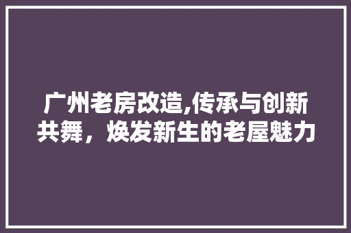 广州老房改造,传承与创新共舞，焕发新生的老屋魅力