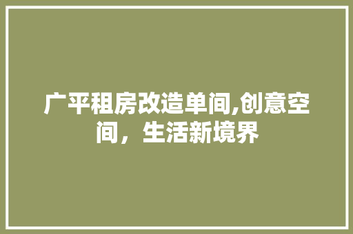 广平租房改造单间,创意空间，生活新境界