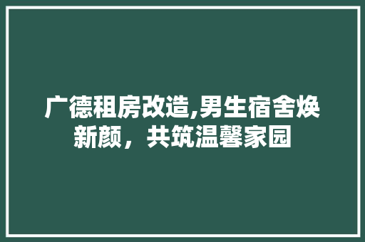 广德租房改造,男生宿舍焕新颜，共筑温馨家园