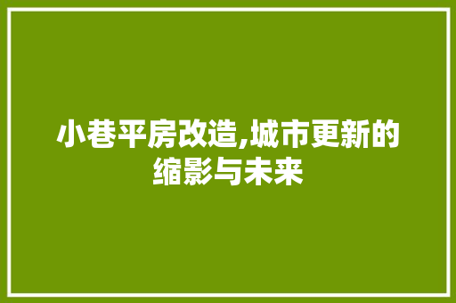 小巷平房改造,城市更新的缩影与未来