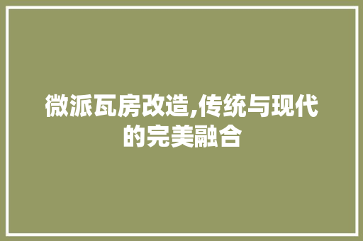微派瓦房改造,传统与现代的完美融合